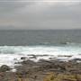 Bass Point Reserve