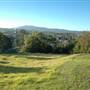 Bega