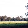 Albury