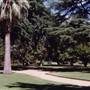 Albury