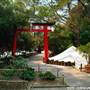 Japanese Garden - Auburn Botanic Gardens