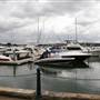 Balmain Cove and Balmain Shores
