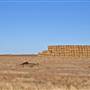 Balranald Area