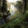Bellinger Valley