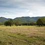 Bellinger Valley