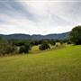 Bellinger Valley