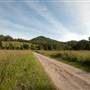 Bellinger Valley