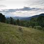 Bellinger Valley