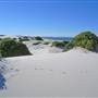 Bennetts Beach