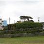 Bermagui