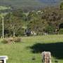 Big Bell farm, Kangaroo Valley