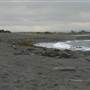 Black Sand Beach, Bass Point Reserve & Shell Cove