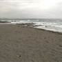 Black Sand Beach, Bass Point Reserve & Shell Cove