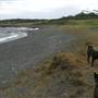 Black Sand Beach, Bass Point Reserve & Shell Cove