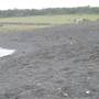 Black Sand Beach, Bass Point Reserve & Shell Cove