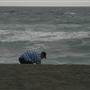 Black Sand Beach, Bass Point Reserve & Shell Cove