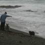 Black Sand Beach, Bass Point Reserve & Shell Cove