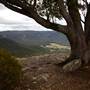 Hargraves Lookout