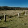 Bombala