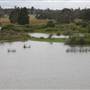 Cecil Hoskins Nature Reserve Moss Vale