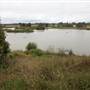 Cecil Hoskins Nature Reserve Moss Vale