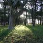 Centennial Park