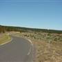 Dalgety/Cooma