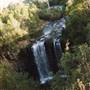 Dangar Falls and Cascades near Dorrigo