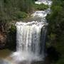 Dangar Falls and Cascades near Dorrigo