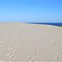 Dark Point Dunes