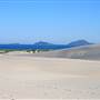 Dark Point Dunes