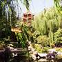 Chinese Garden of Friendship - Darling Harbour