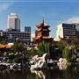 Chinese Garden of Friendship - Darling Harbour