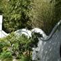 Chinese Garden of Friendship - Darling Harbour