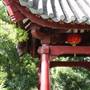 Chinese Garden of Friendship - Darling Harbour