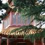 Chinese Garden of Friendship - Darling Harbour