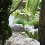 Chinese Garden of Friendship - Darling Harbour