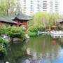 Chinese Garden of Friendship - Darling Harbour