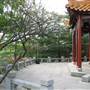 Chinese Garden of Friendship - Darling Harbour