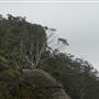 Jamberoo Lookout