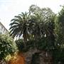 Kincoppal School