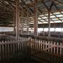 Deeargee Woolshed