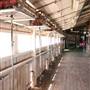 Deeargee Woolshed