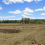 Deeargee Woolshed