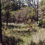 Deep Creek Reserve