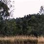 Deep Creek Reserve