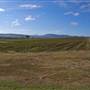 Denman vineyard