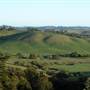 Dorrigo - General