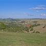 Dorrigo - General