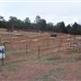 Morris Park Speedway Complex, Dubbo